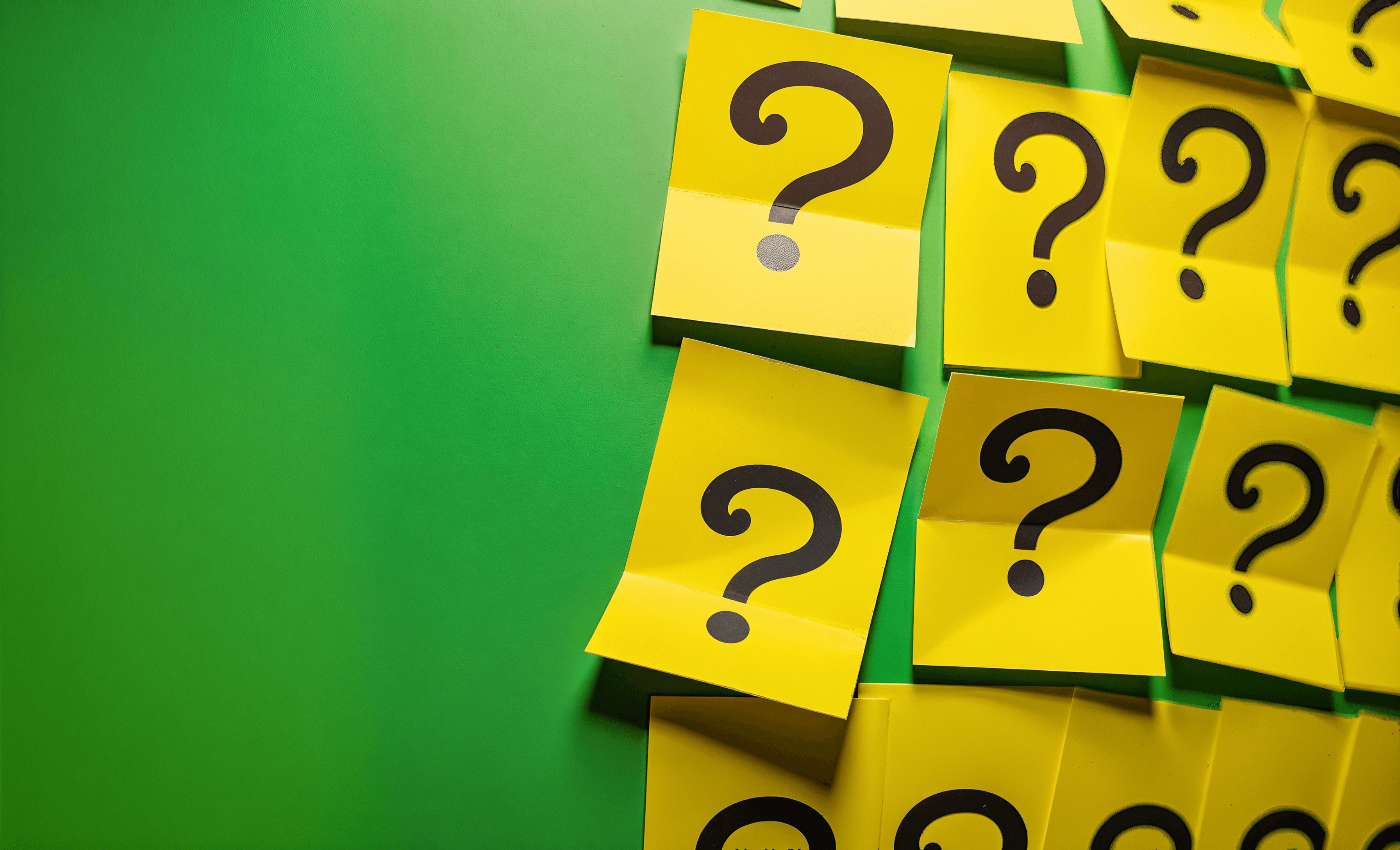 quizBackground