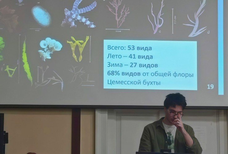 «Исчезнувшие» водоросли обнаружил ученый в Новороссийске