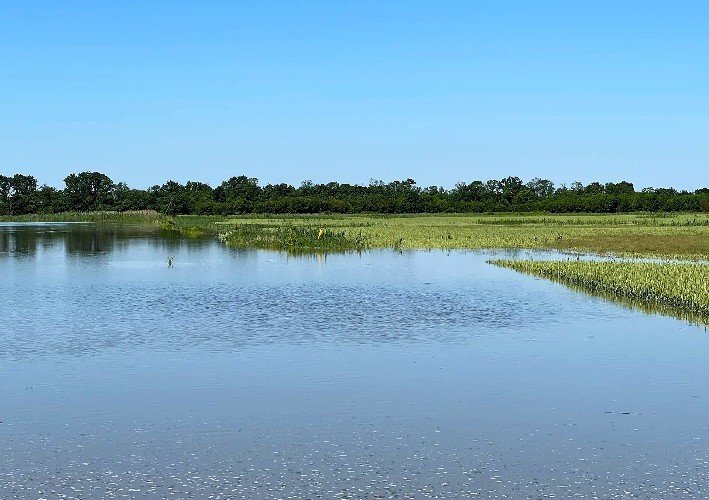 поле покрыто водой