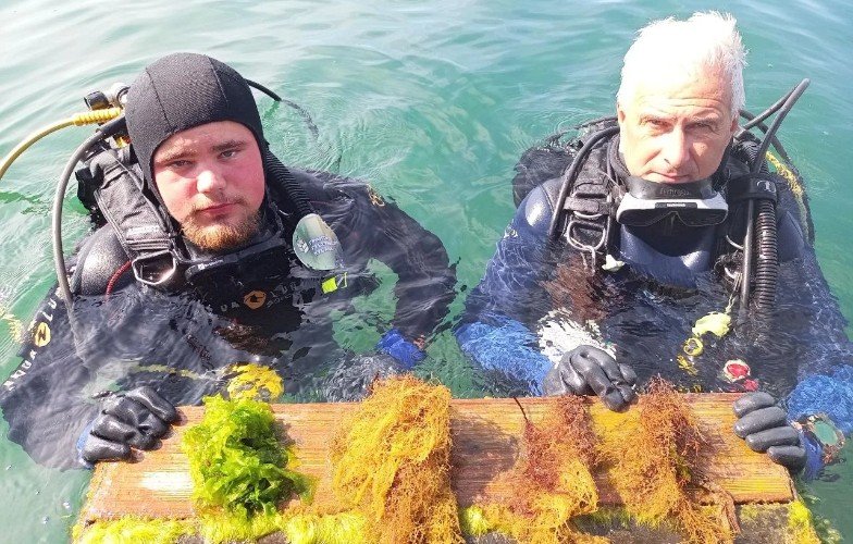 водолазы стоят в воде